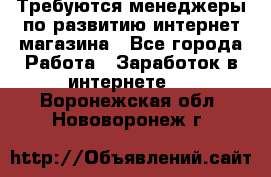 Требуются менеджеры по развитию интернет-магазина - Все города Работа » Заработок в интернете   . Воронежская обл.,Нововоронеж г.